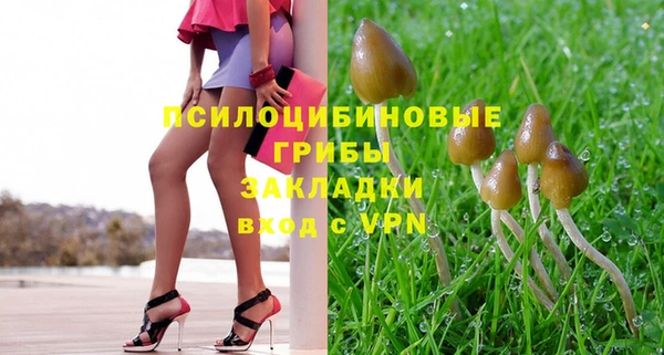 винт Алексеевка