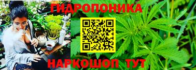 сатива Балахна