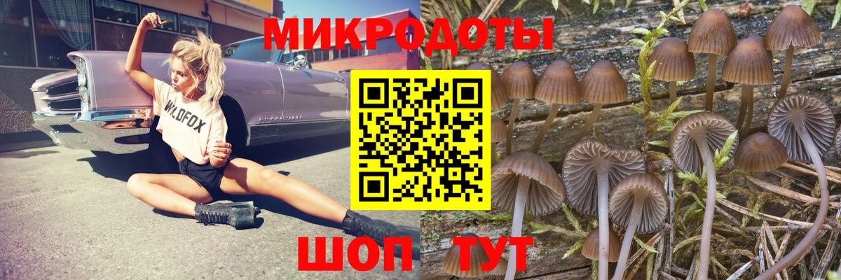 Богданович  Псилоцибиновые грибы Magic Shrooms  где найти наркотики  Вход с VPN 