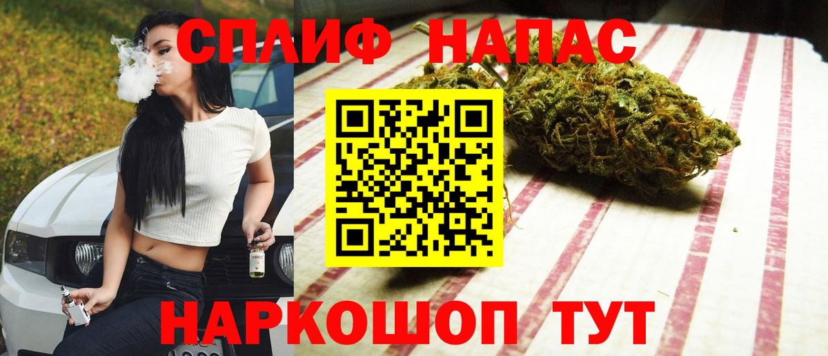 Богданович  Бошки Шишки MAZAR  Вход с VPN  Конопля тримм  Марихуана MAZAR 